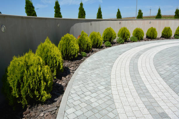 Best Commercial Driveway Pavers  in Whitmore Lake, MI